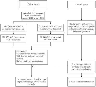 One-Week Effects of Antibiotic Treatment on Gut Microbiota of Late Neonates With Pneumonia or Meningitis